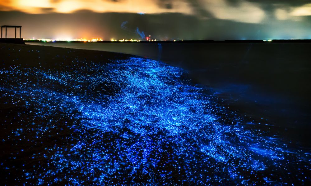 /api/cms/uploads/Sparkling_beaches_46567177d3.jpg