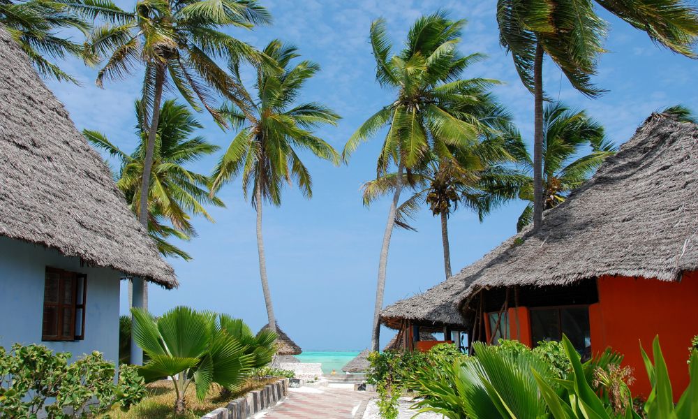 /api/cms/uploads/Zanzibar1_695ab84a79.jpg
