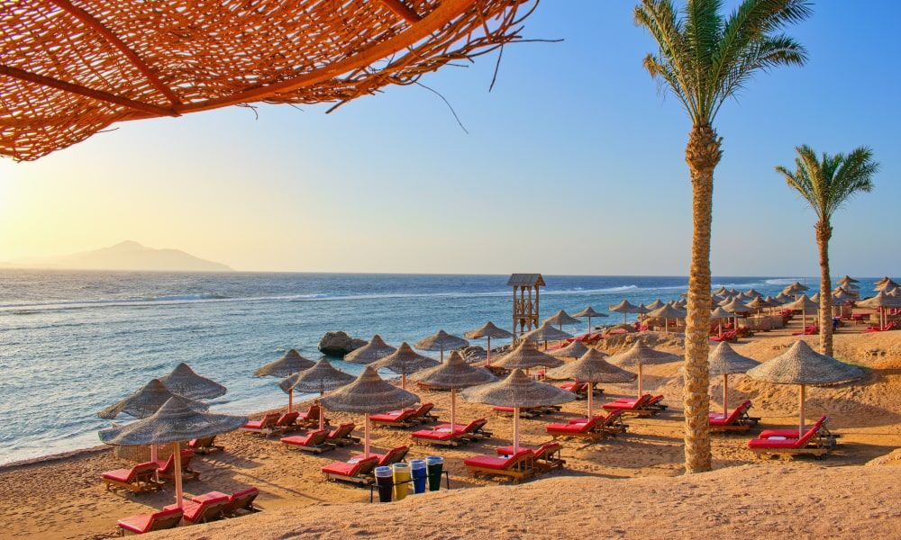 /api/cms/uploads/egypt_red_sea_939_min_f85f7496f9.jpg
