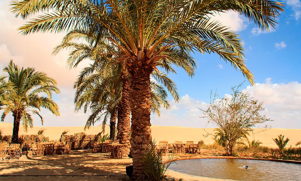 /api/cms/uploads/egypt_siwa_oasis_76d70cda7b.jpg