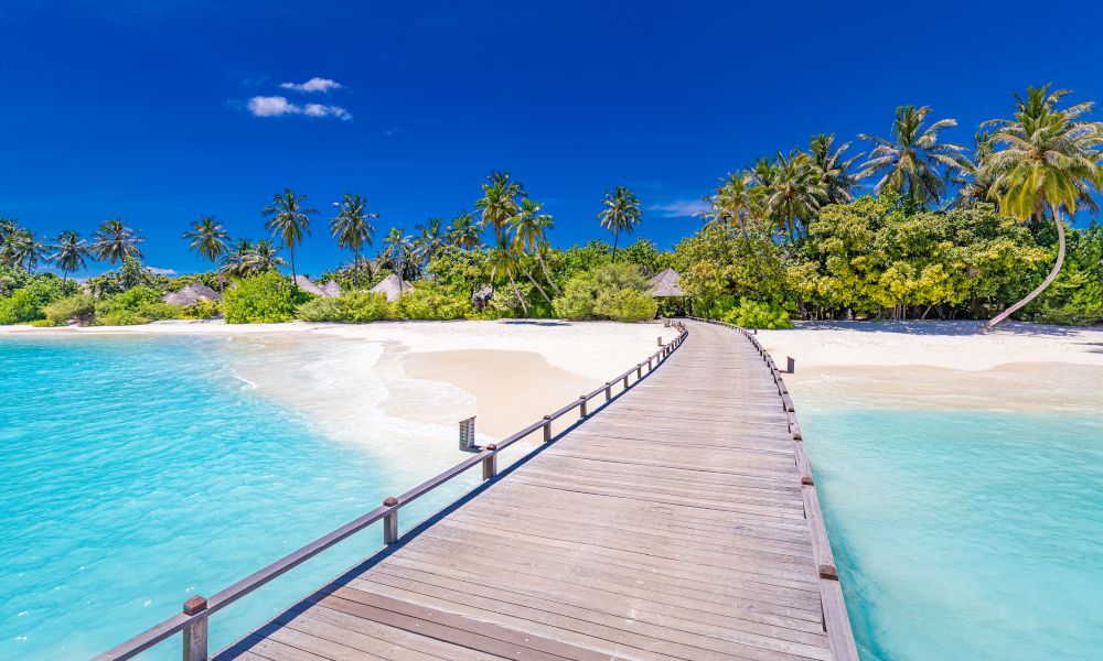 /api/cms/uploads/maldives3_33922d57b7.jpg