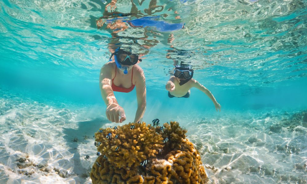 /api/cms/uploads/maldives_9239be963b.jpg