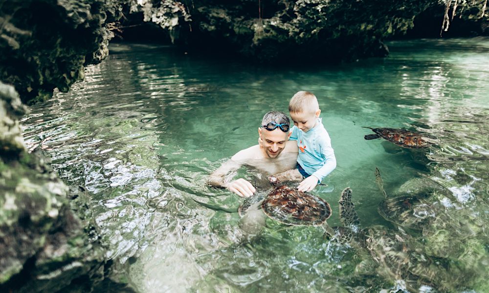 /api/cms/uploads/tanzania_zanzobar_swimming_with_turtles_b50bd40293.jpg