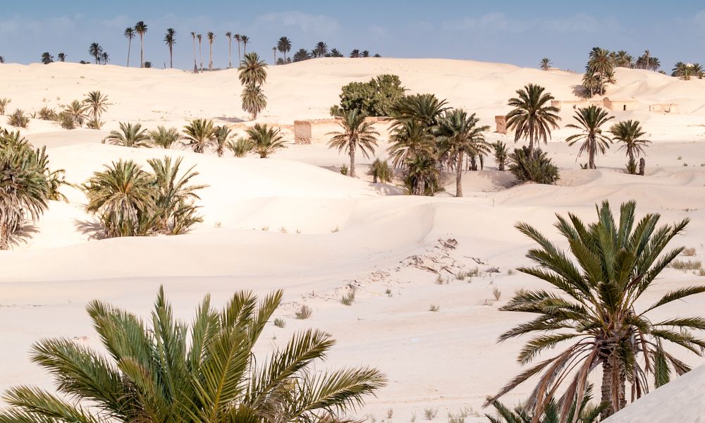 /api/cms/uploads/tunisia_Douz_920e7e044c.jpg