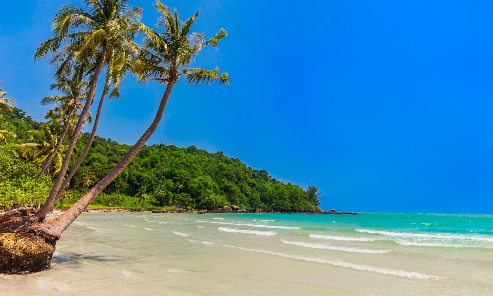 /api/cms/uploads/vietnam_Phu_Quoc_island_Bai_Sao_beach_jpg_7671f9c1b2.jpg