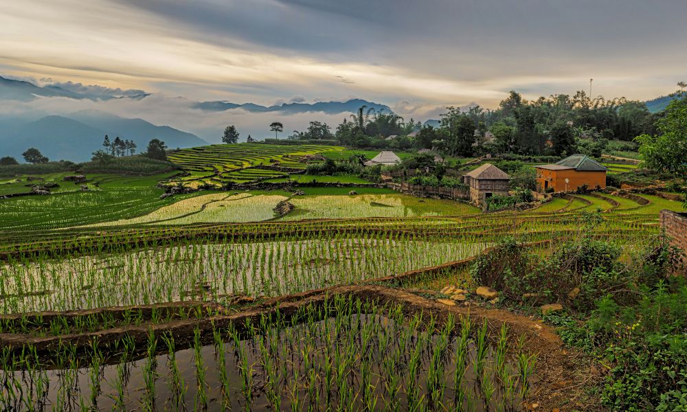 /api/cms/uploads/vietnam_village_2b5016ed31.jpg